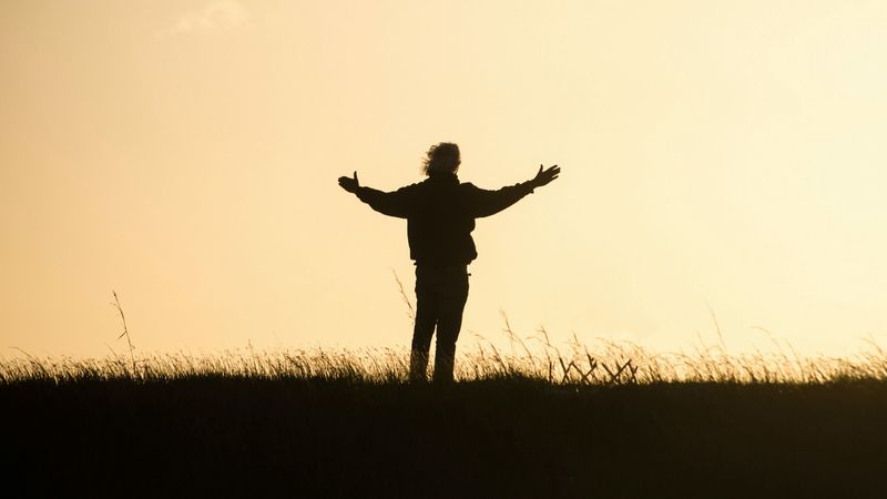 harmony, freedom, silhouette, 4k