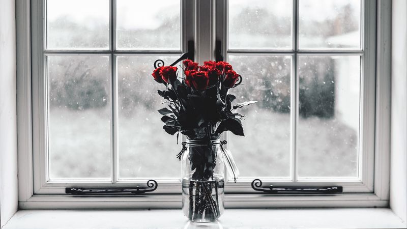 roses, bouquet, vase, window, 4k