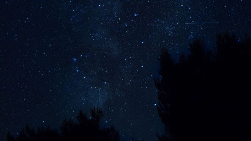 starry sky, night, trees, croatia, 4k