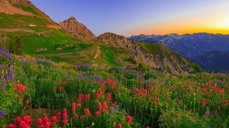 mountain, hills, grass, wildflowers, slope, beautiful, sky, landscape