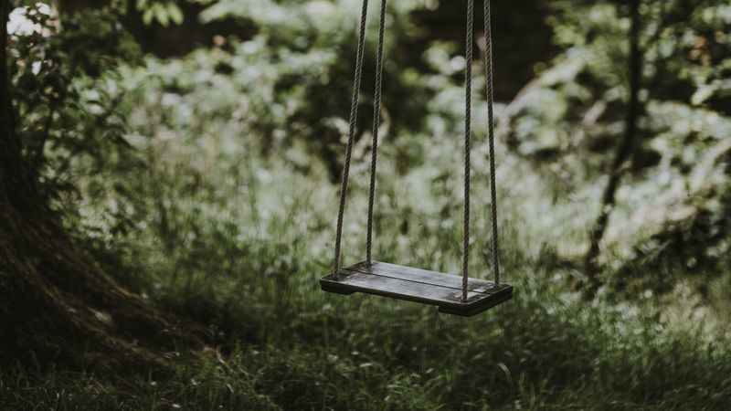 swings, childhood, ropes, grass, blur, 4k