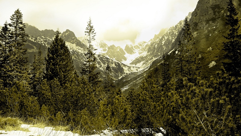 snow, mountains, nature, beautiful, forests, winter