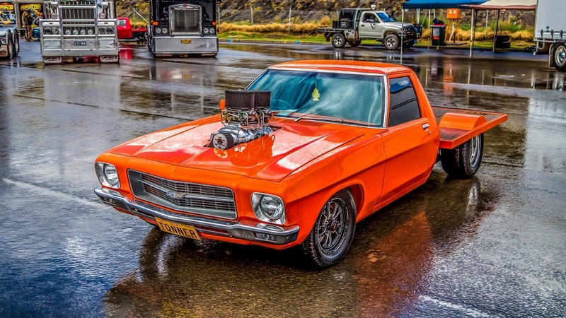 windows, desktop, holden tonner