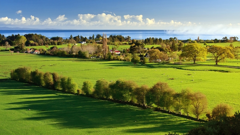 farms, livestock, fields, sea