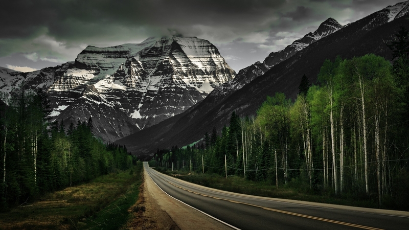 forest, highway, gray, mountains, overcast