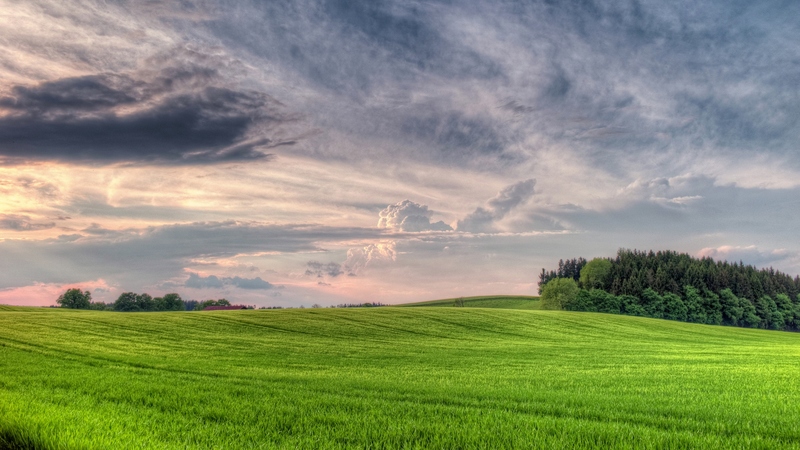 grass, colors, sunset, trees, sky, clouds, nature, field, landscape