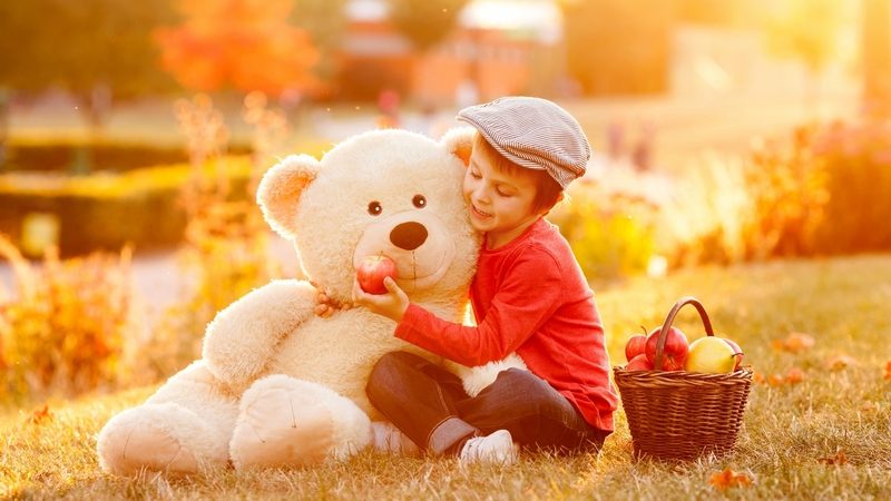 apple, red, autumn, orange, picnic, hat, fruit, boy, copil, child, white, teddy bear