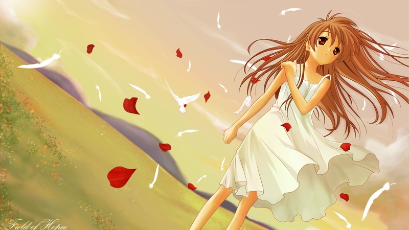 after story, illusionary world, game, clannad, key, hope, ushio, anime, fields, long hair