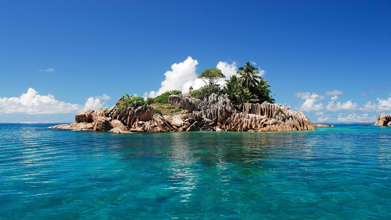 ocean, nature, island, trees, sky, sea