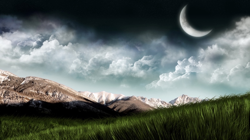 nature, fields