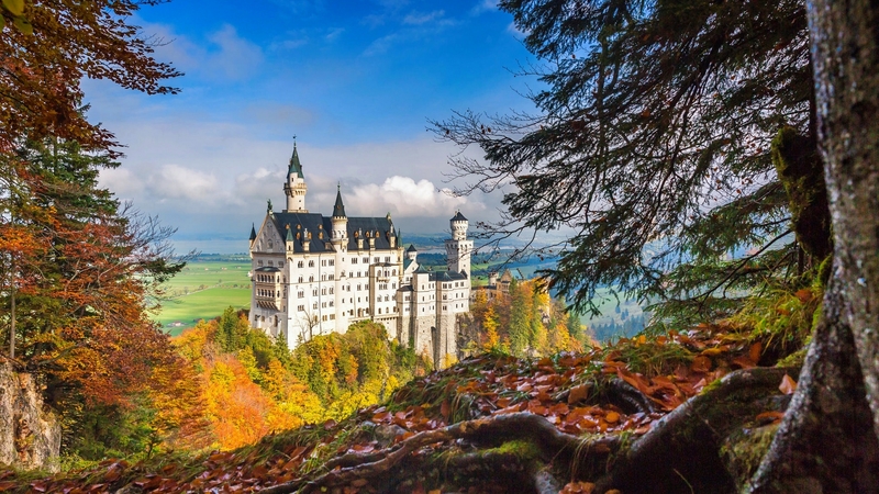 bavaria, autumn, view, neuschwanstein, beautiful, trees, germany, castle