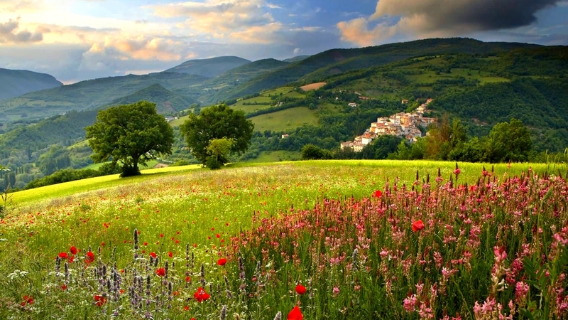 mountain, houses, blossoms, trees, clouds, field