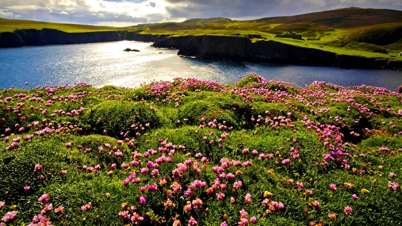 hills, flowers, blossoms, river, sky