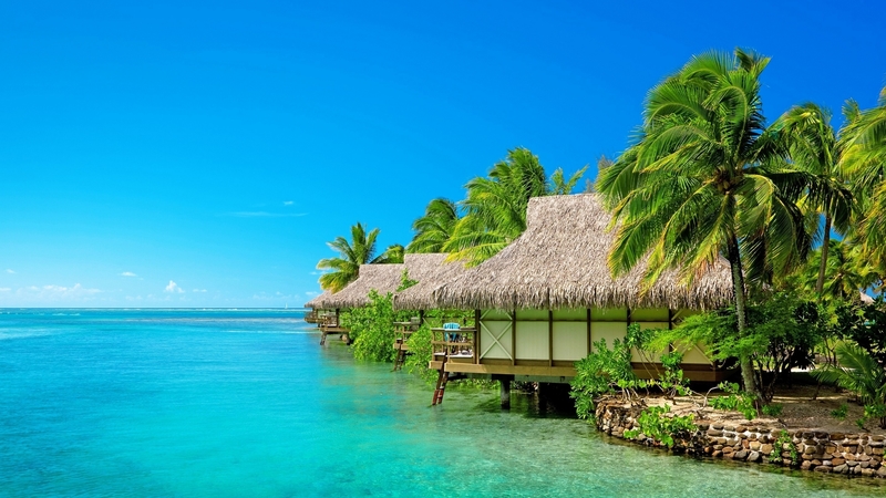 cabins, sky, coast, sea, palms