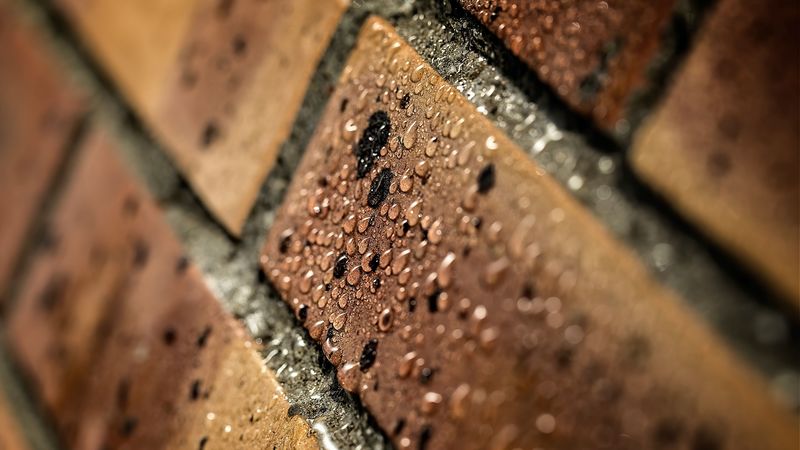 wall, drops, macro, 4k