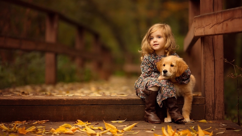 puppy, foliage, fall, autumn, joy, sweet, cute, pet, leaves, girl, bridge, love, dog