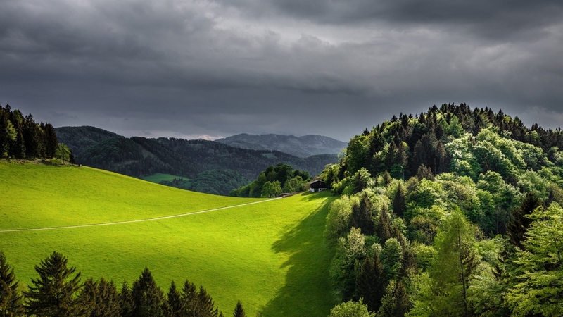 forest, clouds, green, mountains, dark, nature, wooden, field, landscape