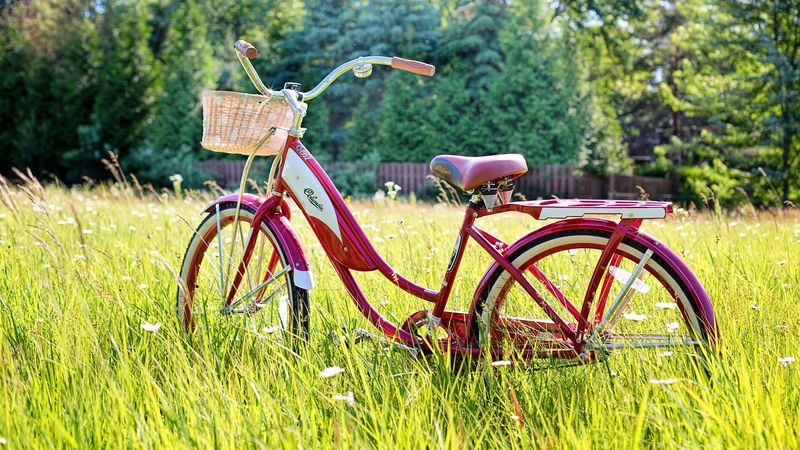 bicycle, summer, vintage, sunlight, 4k