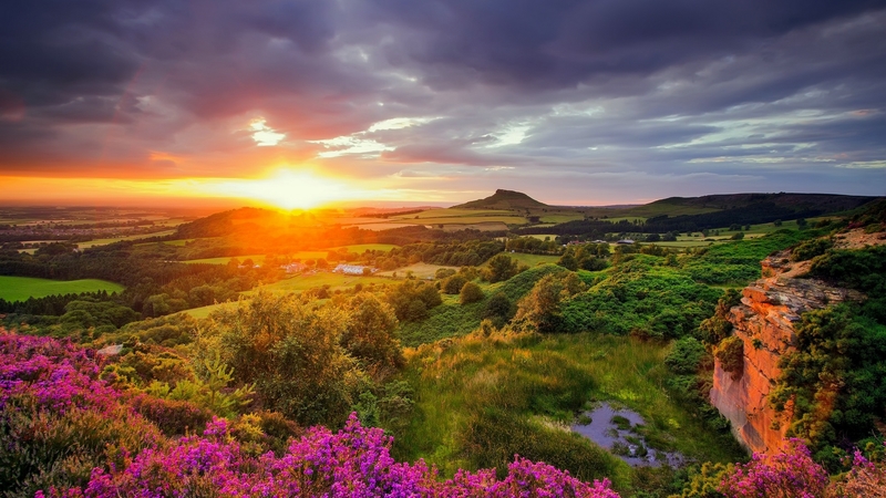 fiery, view, wildflowers, sunset, clouds, sky, landscape