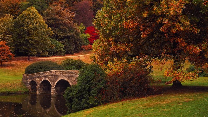 fall, autumn, nature, bridge