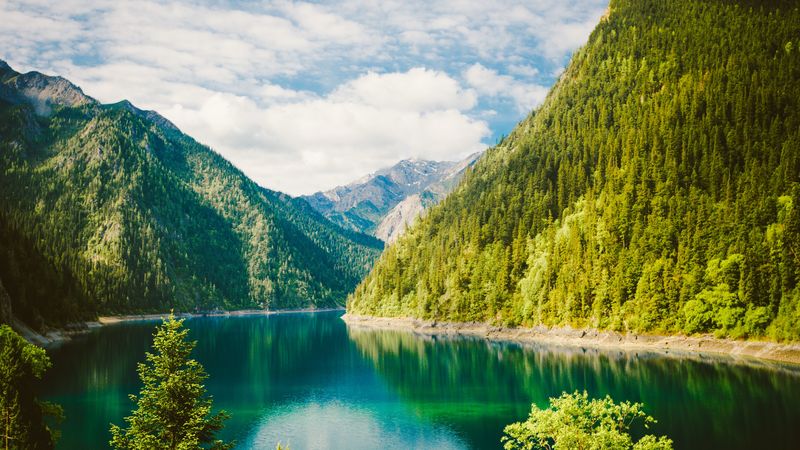 nature, lake, forest, mountains, 4k