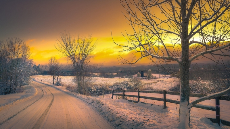 trees, snow, sunset, winter, road