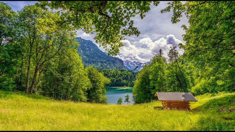 hut, view, grass, greenery, beautiful, trees, sky, lake, mountain, serenity, wooden