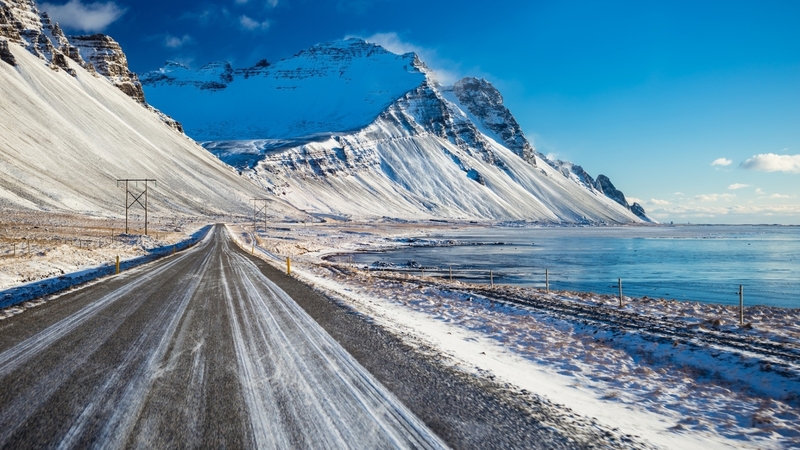 tree, nature, road, winter
