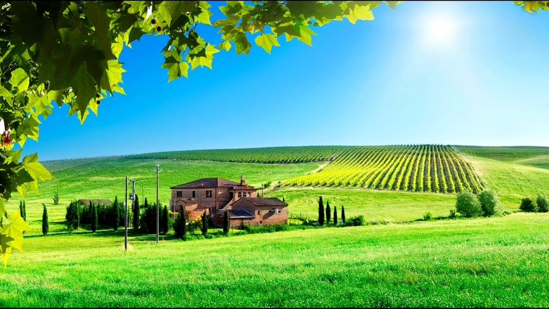 house, glow, sun, landscaoe, grass, italy, travel, beautiful, sky, branch, tuscan, tree, rays, summer, field