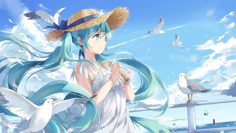 pretty, dress, beautiful, clouds, message in a bottle, sweet, girlmbeauty, anime, anime girl, long hair, blue, seagles, lovely, twintails, soft, sky, hat, blue hair, summer, white