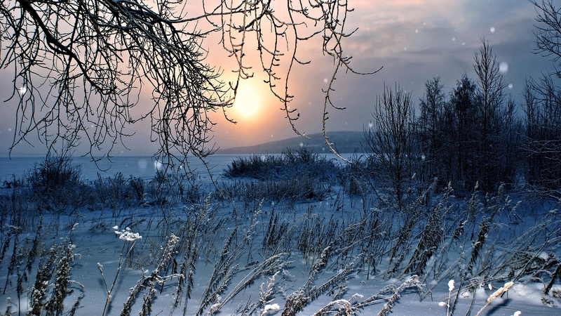 lake, nature, mist, winter