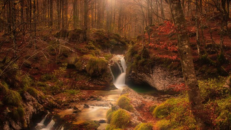 autumn, waterfall, stream, forest, 4k