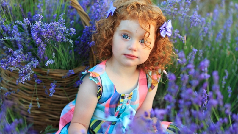redhead, girl, basket, summer, copil, flower, little, cute, vara, child