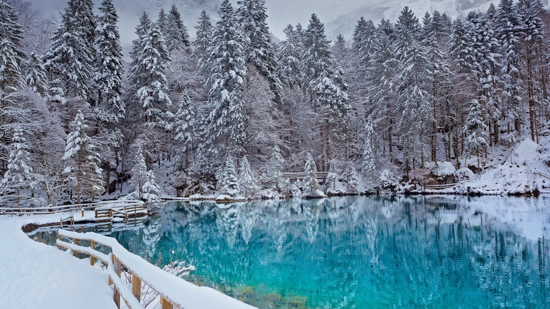 forest, beautiful, trees, lake, winter, cold, snow, reflection, landscape, frost