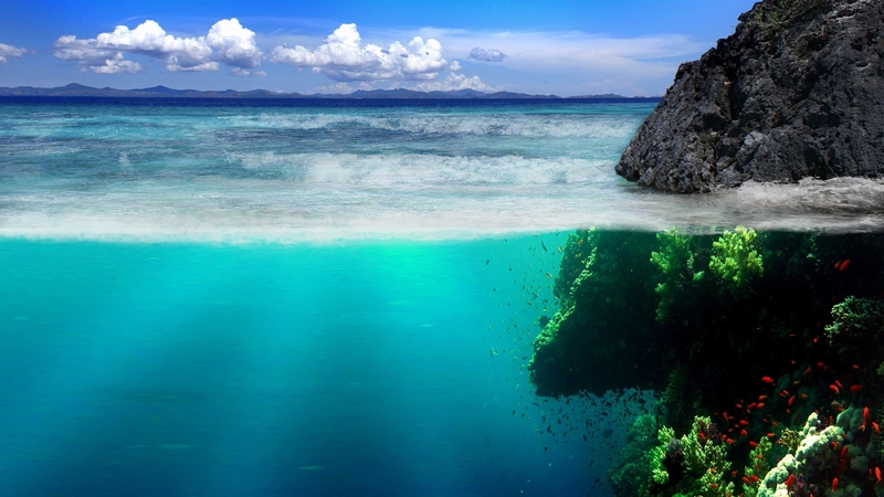 red, world, underwater, oceans, amazing, lovely, fish, sky, clouds, wave, nature, blue