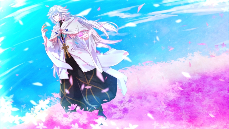 fate, grand, anime, order
