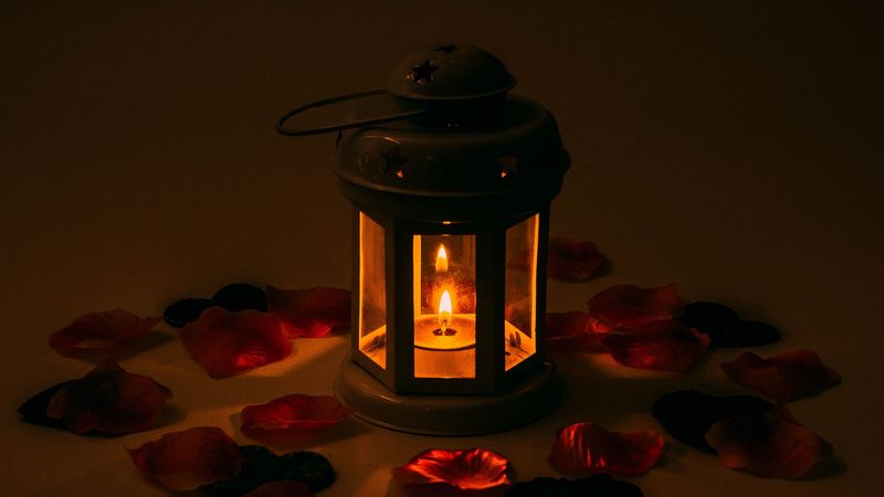 candlestick, candle, petals, 4k