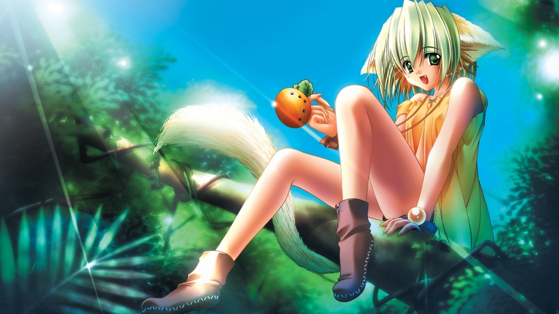 cute, tree, girl, anime, cat