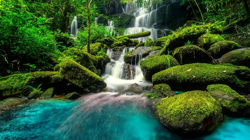 forest, stream, greenery, beautiful, creek, trees, brook, stones, cascades, water, serenity, summer, waterfall