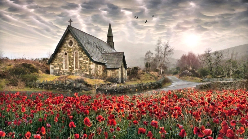 ireland, town, house, nature