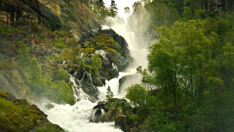 water, trees, canyon, rivers
