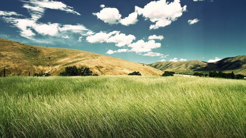 mountain, nature, grass, field