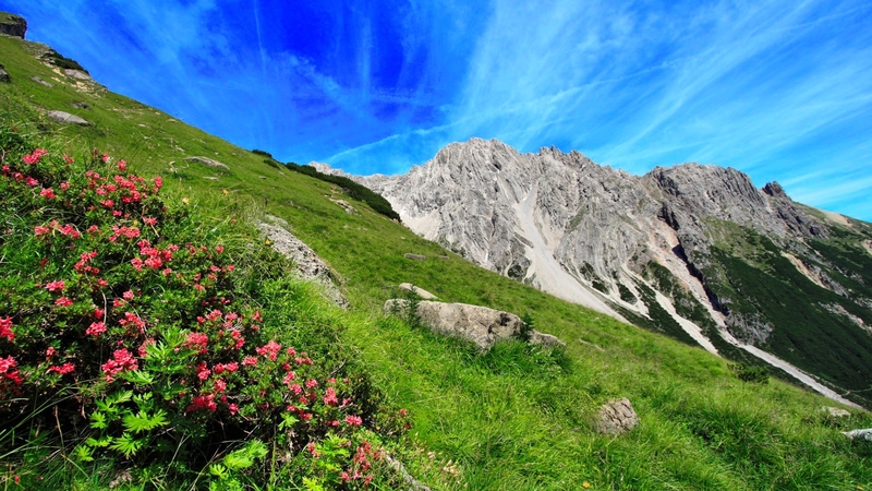 rocks, greenery, beautiful, sky, mountain, gras, wildflowers, summer, slope, hillside, landscape