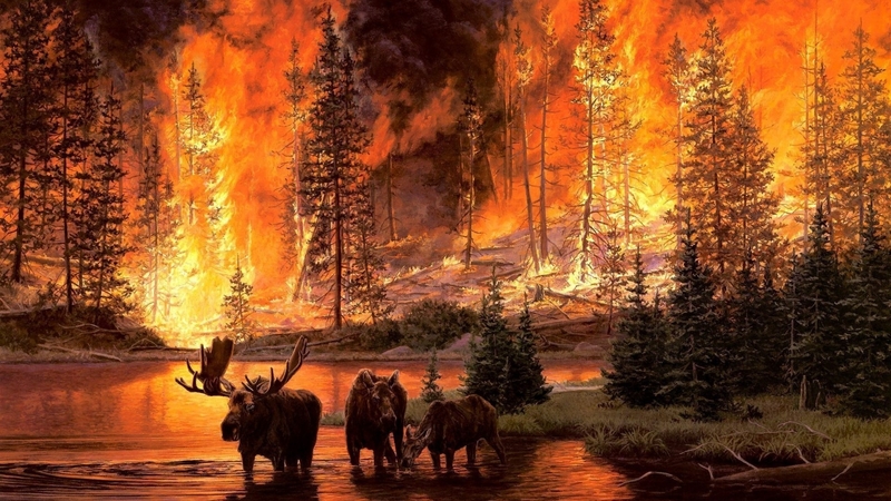 painting, forest, fire, moose