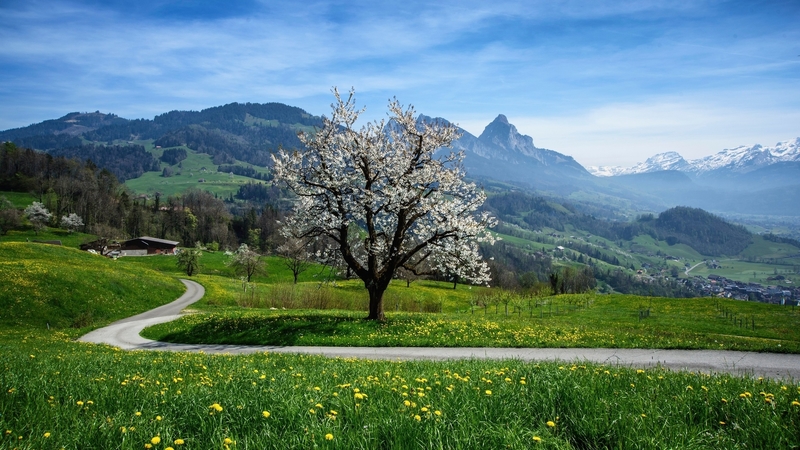 mountains, nature, spring, sky, road, trees, meadow, grassland