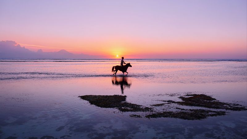 man, horse, silhouettes, ocean, coast, gili trawangan, indonesia, 4k