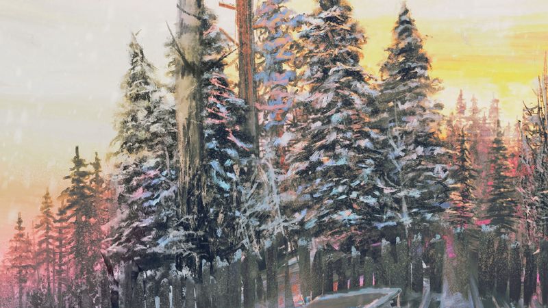 forest, sun, art, 4k