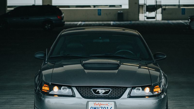 mustang, car, front view, 4k