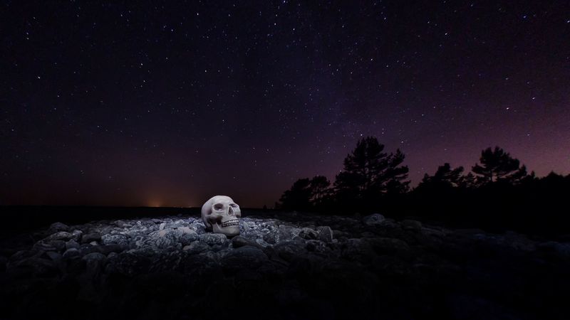 skull, starry sky, stones, night, 4k