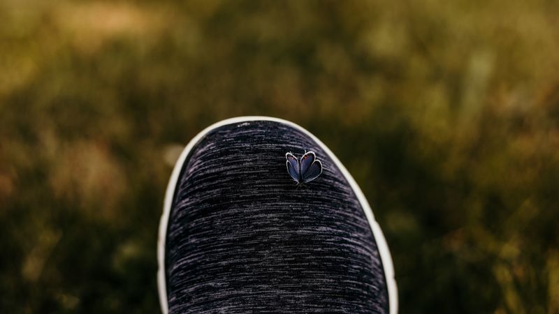 butterfly, closeup, shoes, cloth, 4k